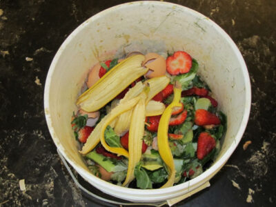 How to Compost at Home